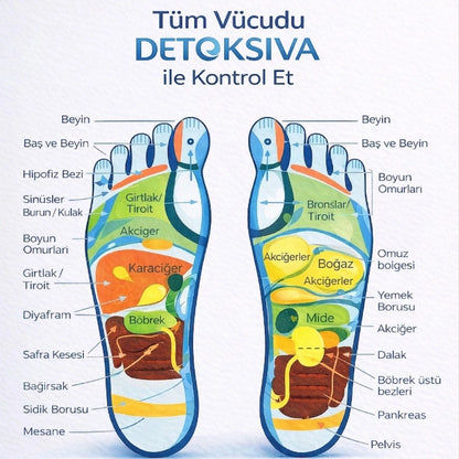 Detoxiva Ionic Foot Detox